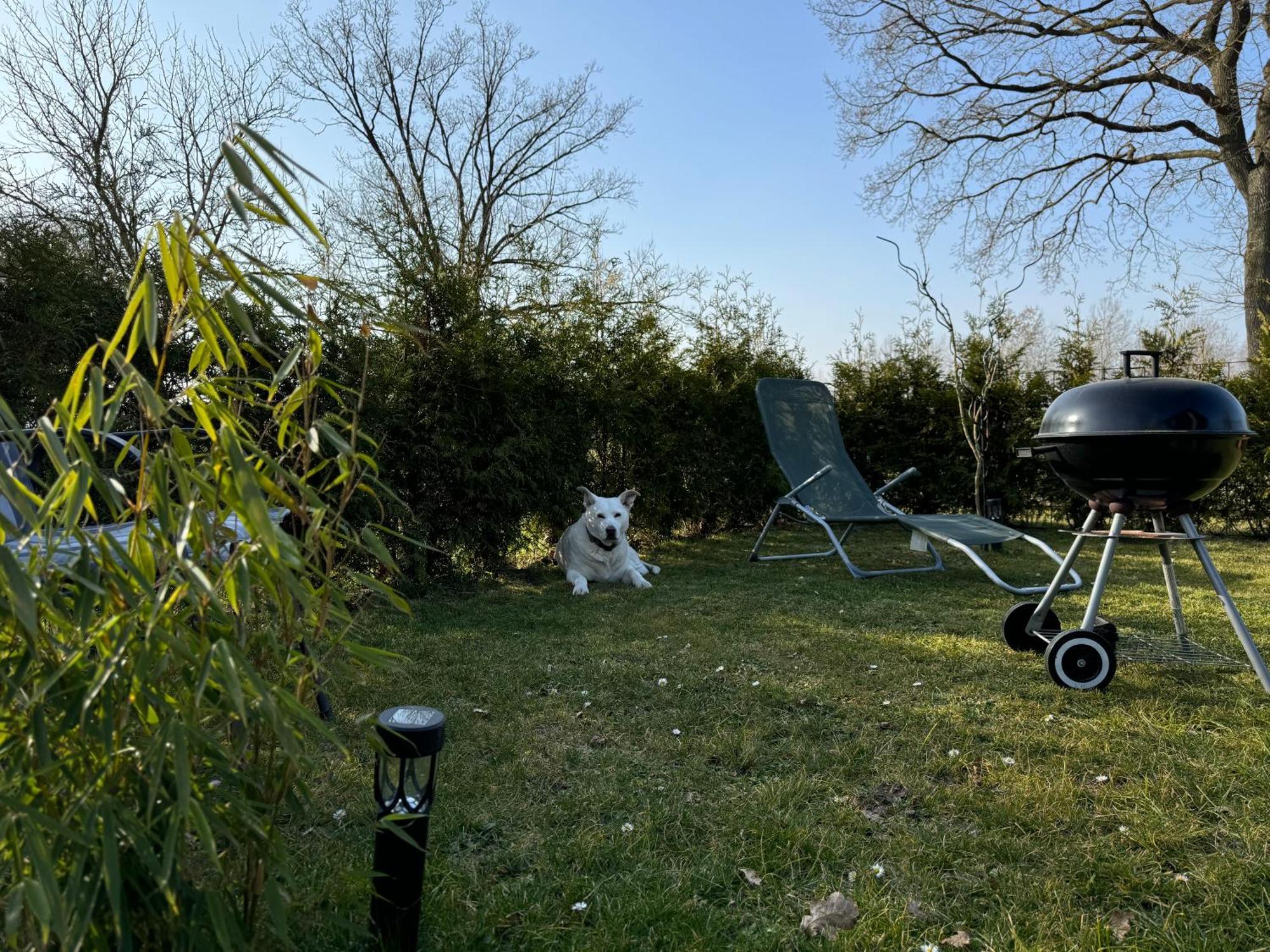 Ferienwohnung Am See Dillich - Ruhige Lage - Eigener Garten - Direkt Neben Einem Natursee Borken  Exterior foto