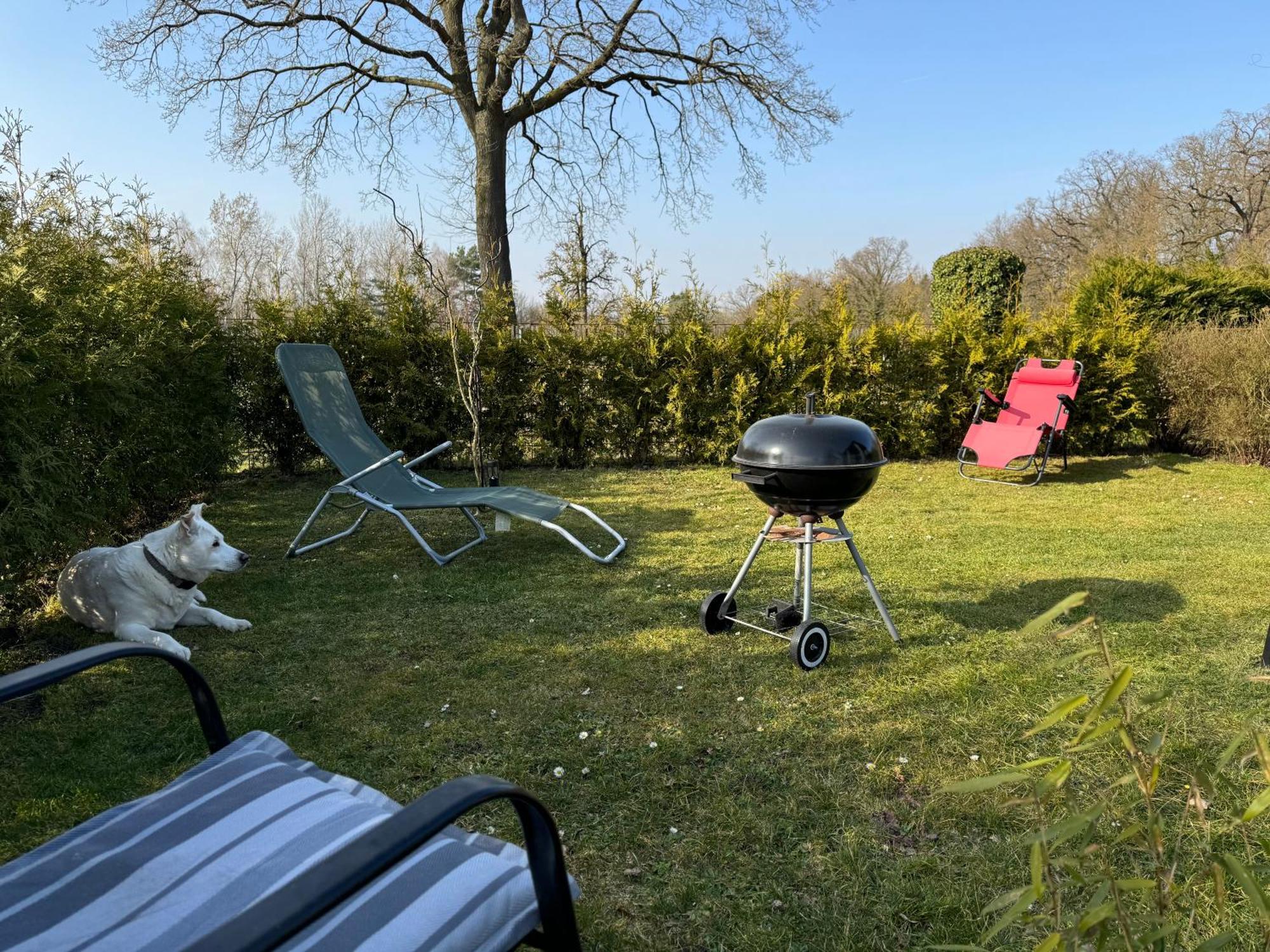 Ferienwohnung Am See Dillich - Ruhige Lage - Eigener Garten - Direkt Neben Einem Natursee Borken  Exterior foto